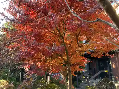 普門院(東京都)