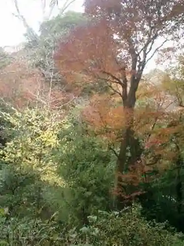 浄智寺の景色