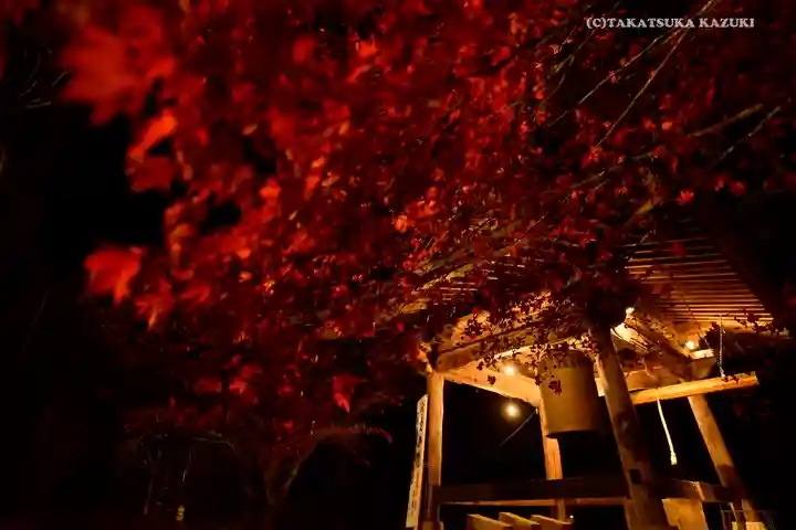 大山寺(神奈川県)