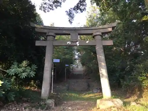 金桜神社の鳥居