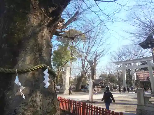 大國魂神社のその他建物
