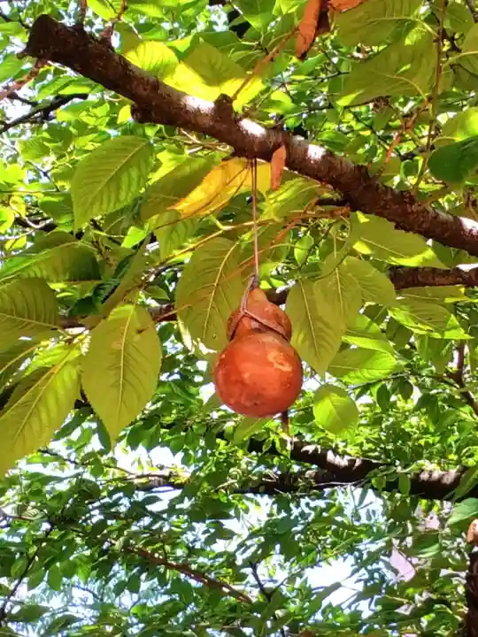 秋葉神社(東京都)