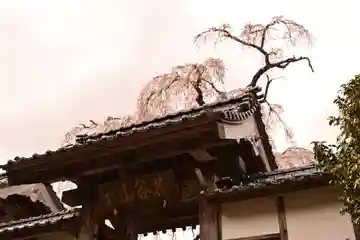 法蓮寺(愛媛県)