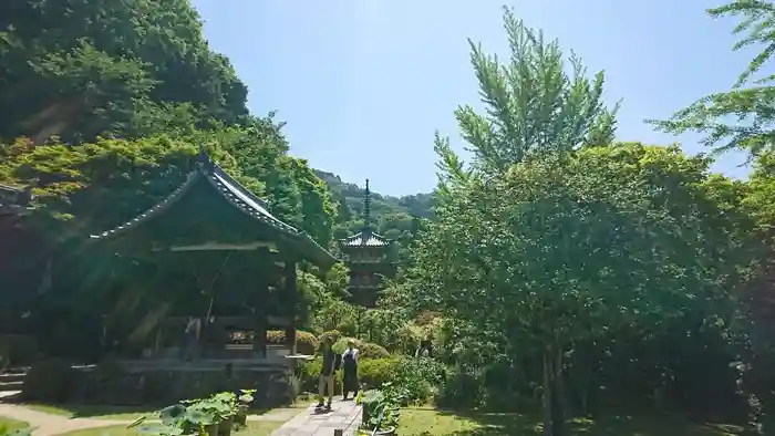 三室戸寺の建物その他