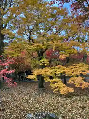 東福禅寺(東福寺)(京都府)
