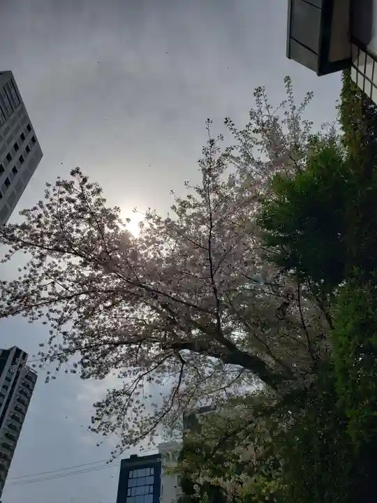 乃木神社(東京都)