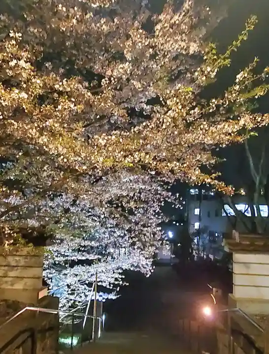 如宝寺(福島県)