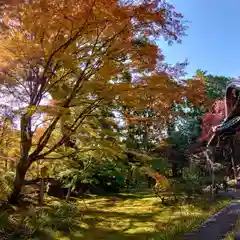 十輪寺(京都府)