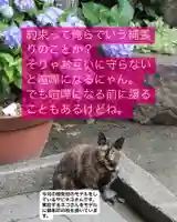 専念寺(大阪府)