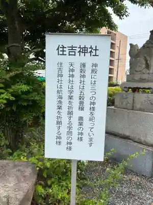 住吉神社の{uncategorized: "未分類", other: "その他", undefined: "問題あり", building: "その他建物", grave: "お墓", sacred_gate: "鳥居", guardian: "狛犬", statue: "像", buddha: "仏像", history: "歴史", nature: "自然", garden: "庭園", animal: "動物", pagoda: "塔", temizu: "手水舎", mountain_gate: "山門・神門", sanctuary: "本殿・本堂", subordinate: "末社・摂社", art: "芸術", scenery: "景色", jizo: "地蔵", ema: "絵馬", goshuin: "御朱印", omikuji: "おみくじ", items: "授与品その他", amulet: "お守り", goshuincho: "御朱印帳", eats: "食事", festival: "お祭り", votive_dance: "神楽", shichigosan: "七五三参", wedding: "結婚式", experience: "体験その他", initially: "初詣", around: "周辺", anti_infection: "感染症対策"}