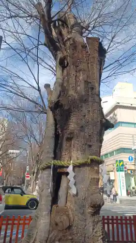 大國魂神社(東京都)