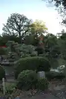 蓮華王院(三十三間堂)の庭園