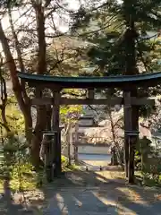 山家神社の鳥居