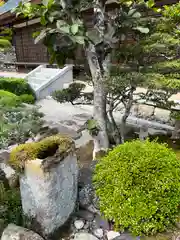 妙感寺の庭園