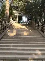 渋谷氷川神社の鳥居