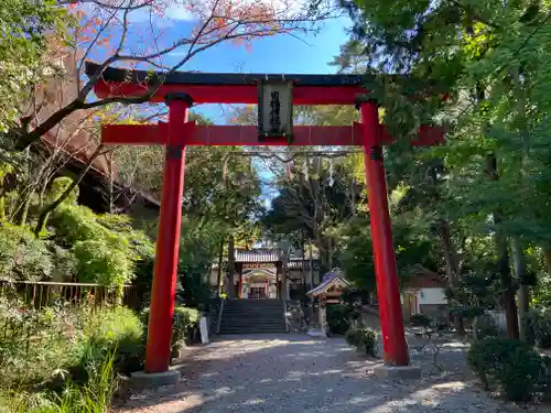 日根神社の鳥居