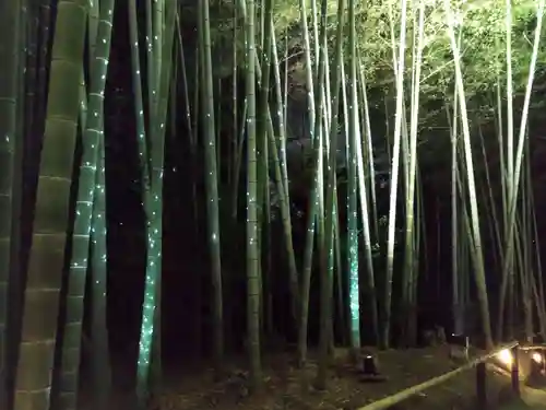 高台寺（高台寿聖禅寺・高臺寺）(京都府)