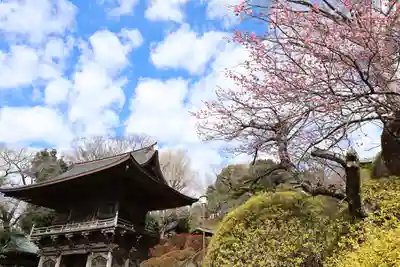 等覚院(神奈川県)