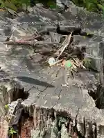神炊館神社 ⁂奥州須賀川総鎮守⁂(福島県)