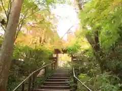 常照寺(京都府)