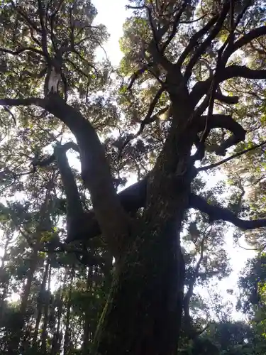 沼尾神社の自然