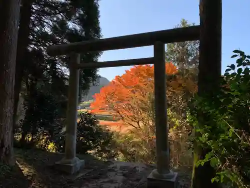 天照神社の鳥居