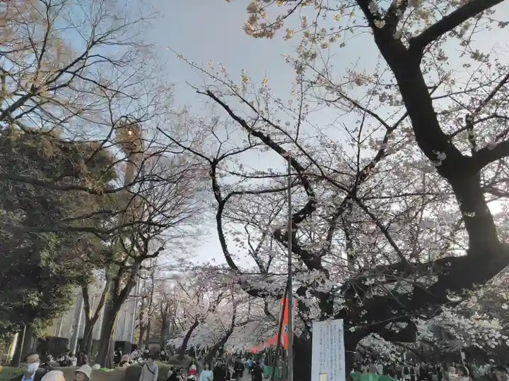 花園稲荷神社の自然