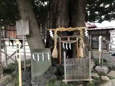 嶺白山神社の自然