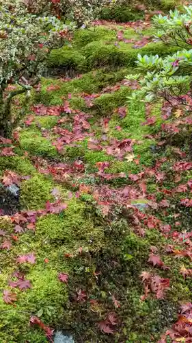 霊鑑寺門跡(京都府)