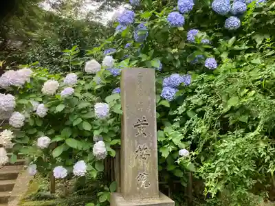 黄梅院(円覚寺塔頭)(神奈川県)