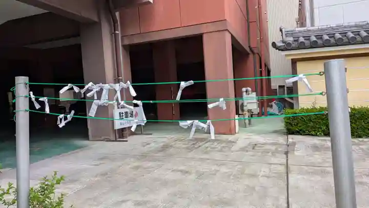 東長寺のおみくじ