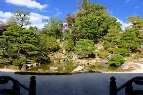 仁和寺の庭園