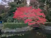 蓮池弁財尊天(宮城県)