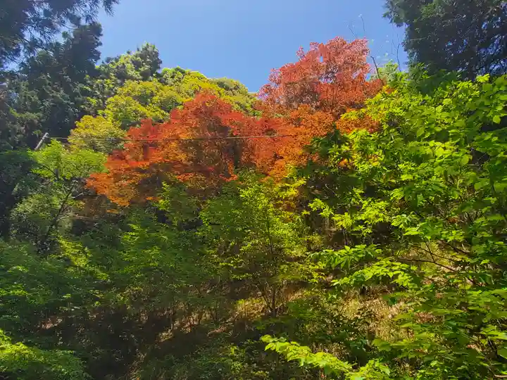 名草厳島神社の景色