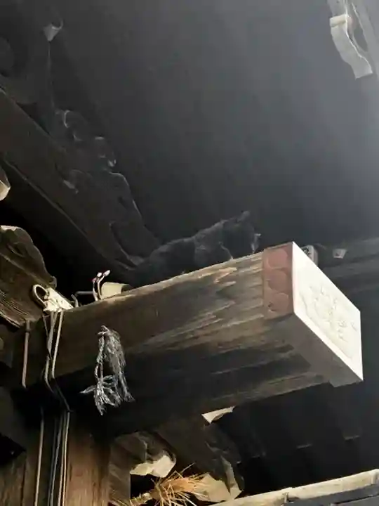 道明寺天満宮の動物