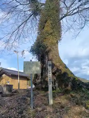 県神社(岐阜県)
