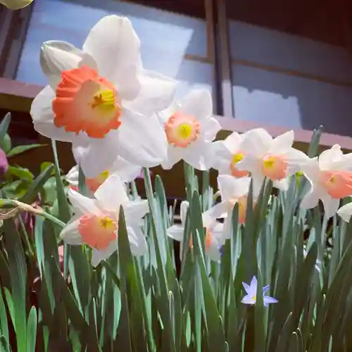 豊景神社の自然