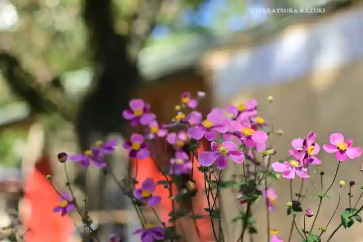 前原御嶽神社(千葉県)
