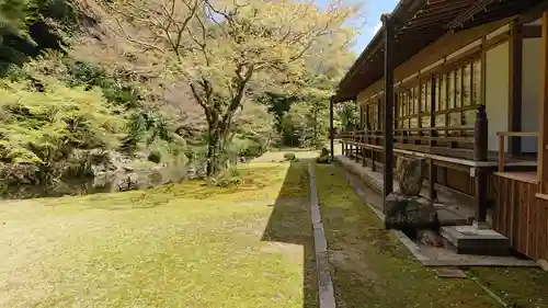 宗隣寺の建物その他