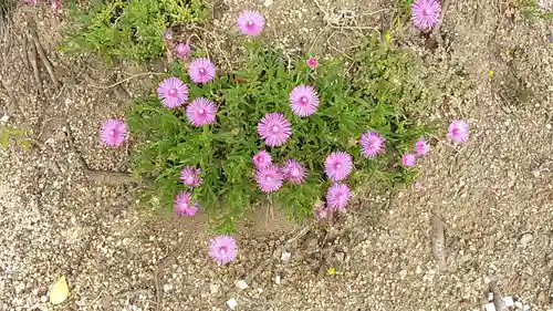 比佐豆知神社(三重県)