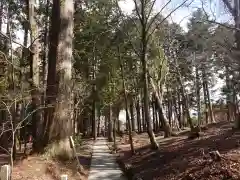 富士山東口本宮 冨士浅間神社の自然