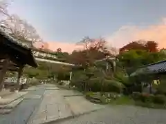 岡寺（龍蓋寺）の建物その他