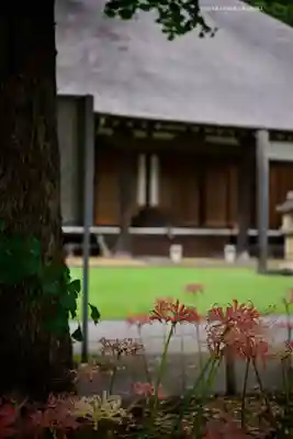 横浜　西方寺(神奈川県)