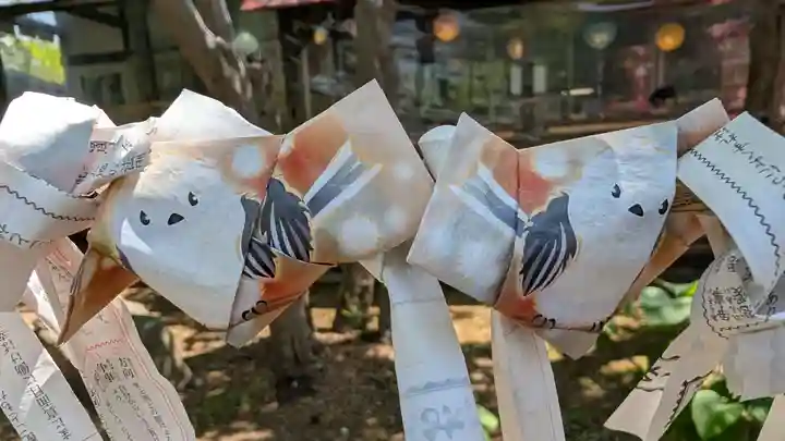 札幌護國神社のおみくじ