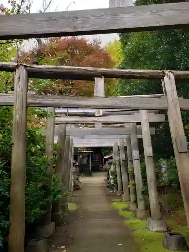 厳嶋神社の鳥居