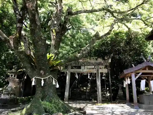 吾平津神社のその他建物