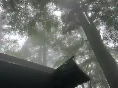 愛宕神社(京都府)