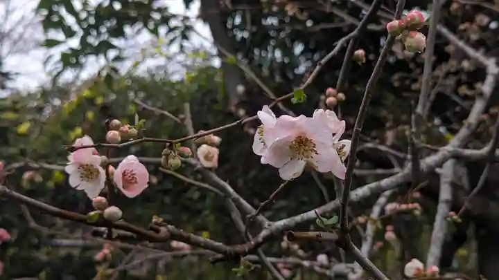 惠心院(京都府)