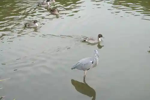 稱名寺(神奈川県)