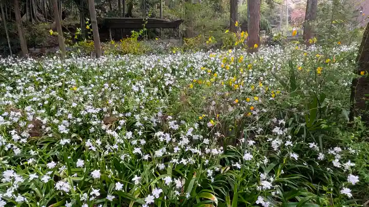 椎尾神社(大阪府)